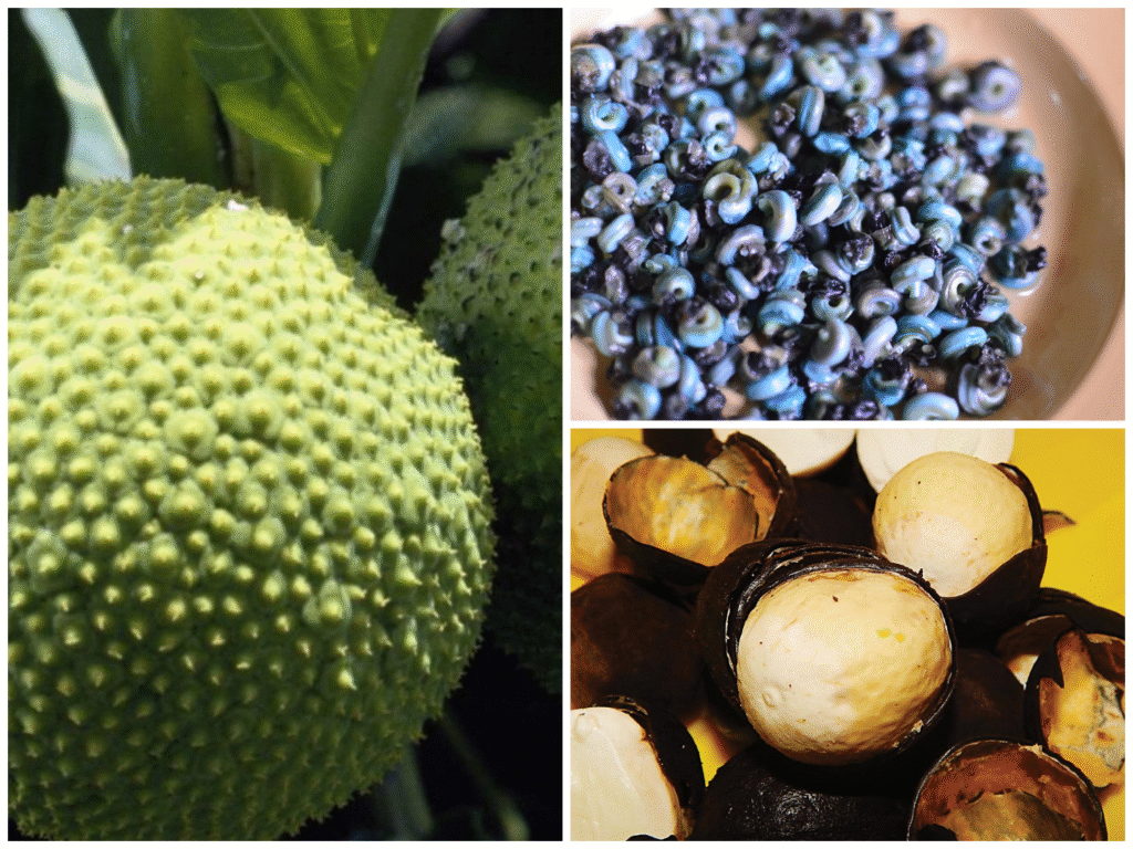 12 High-Protein Nigerian Foods You Should Be Eating