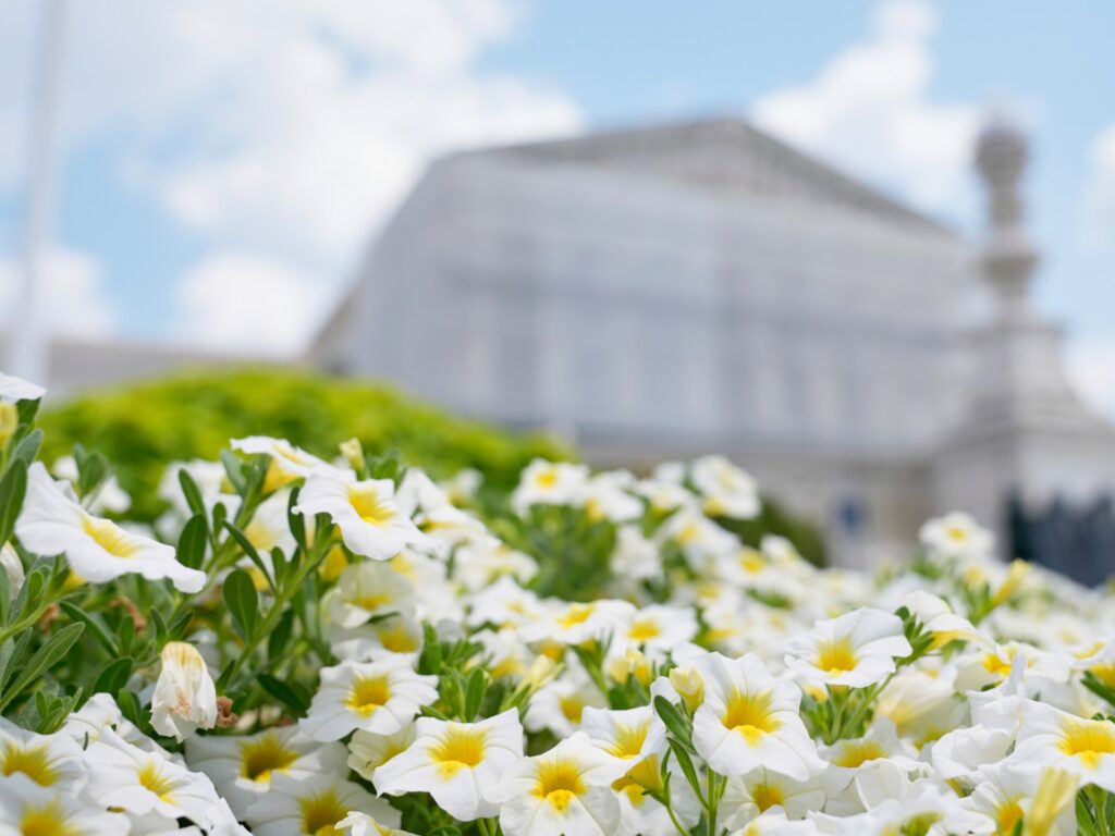 US Supreme Court says Trump can remove Democrats from consumer safety panel | Donald Trump News