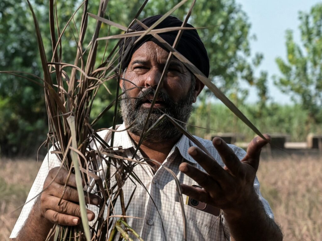 Floods devastate India’s breadbasket of Punjab | Floods News