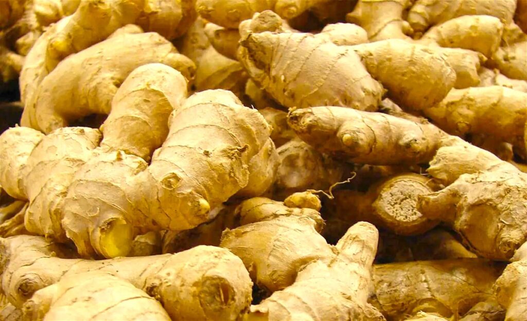 Investing In Ginger Farming For Export