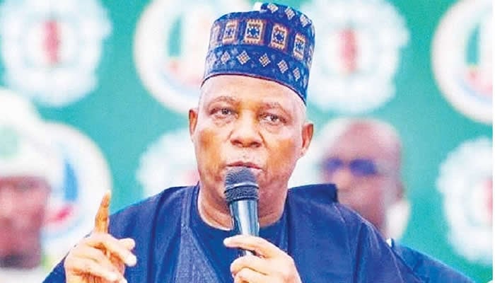 Nigeria Economic Society Seeks Inclusive Growth, Honours Shettima, Others