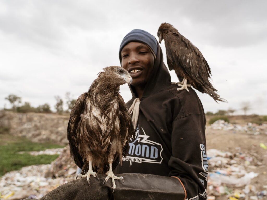 Nairobi’s ‘Birdman’: Rescuing raptors on the streets of Kenya’s capital | Environment News