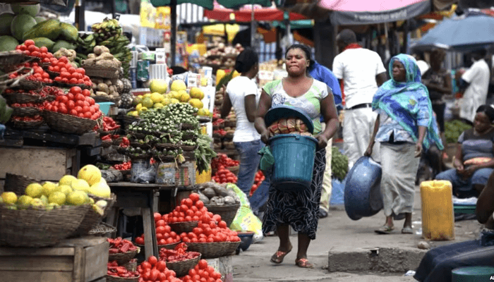 Nigeria records higher food output, lower prices in 2025 – NAERLS report