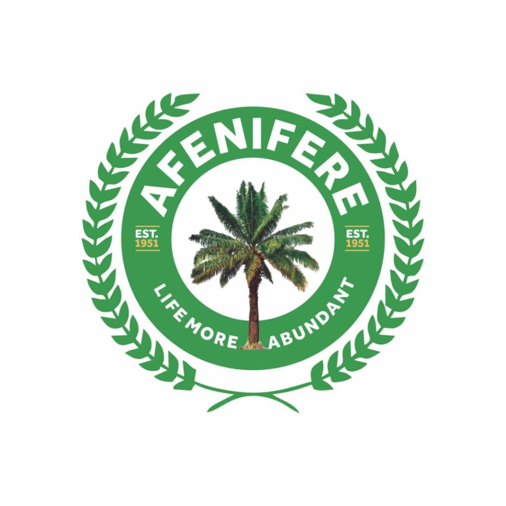 Afenifere raises alarm over escalating terror in border states, urges S’West govs to act decisively
